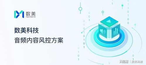 数美科技解读 绚烂如烟花，Clubhouse们如何才能持续绽放——网络与信息安全软件开发之道